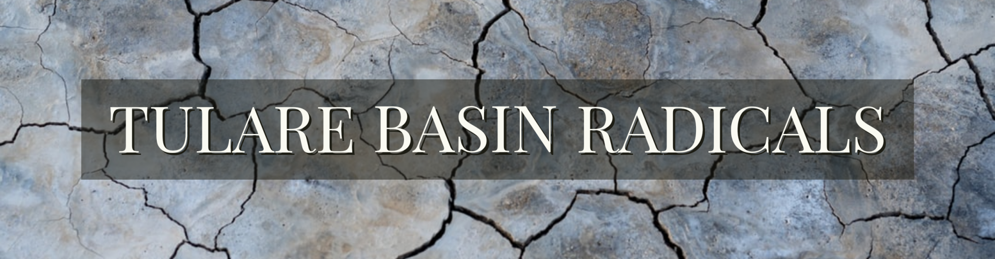 Tulare Basin Radicals